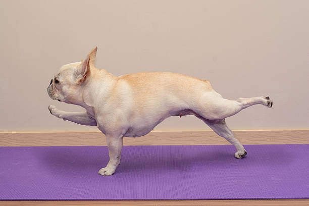 WG-Besichtigung. Vorhang auf für: die Yoga-Lehrerin